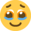 :face_holding_back_tears: 🥹