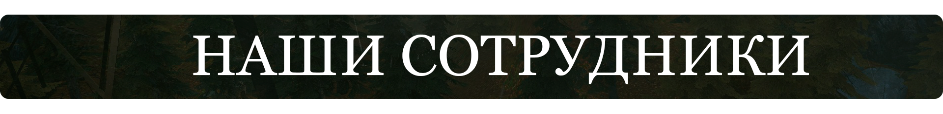 наши сотрудники.png