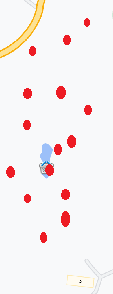Карта кустов ягод.png