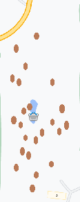 Карта грибов.png