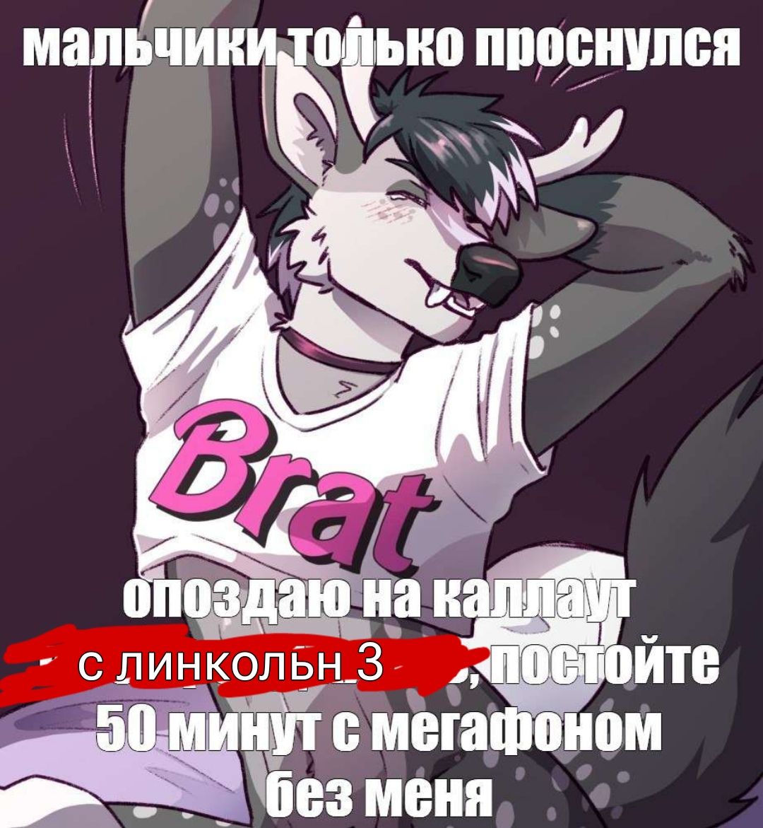 link3.jpg