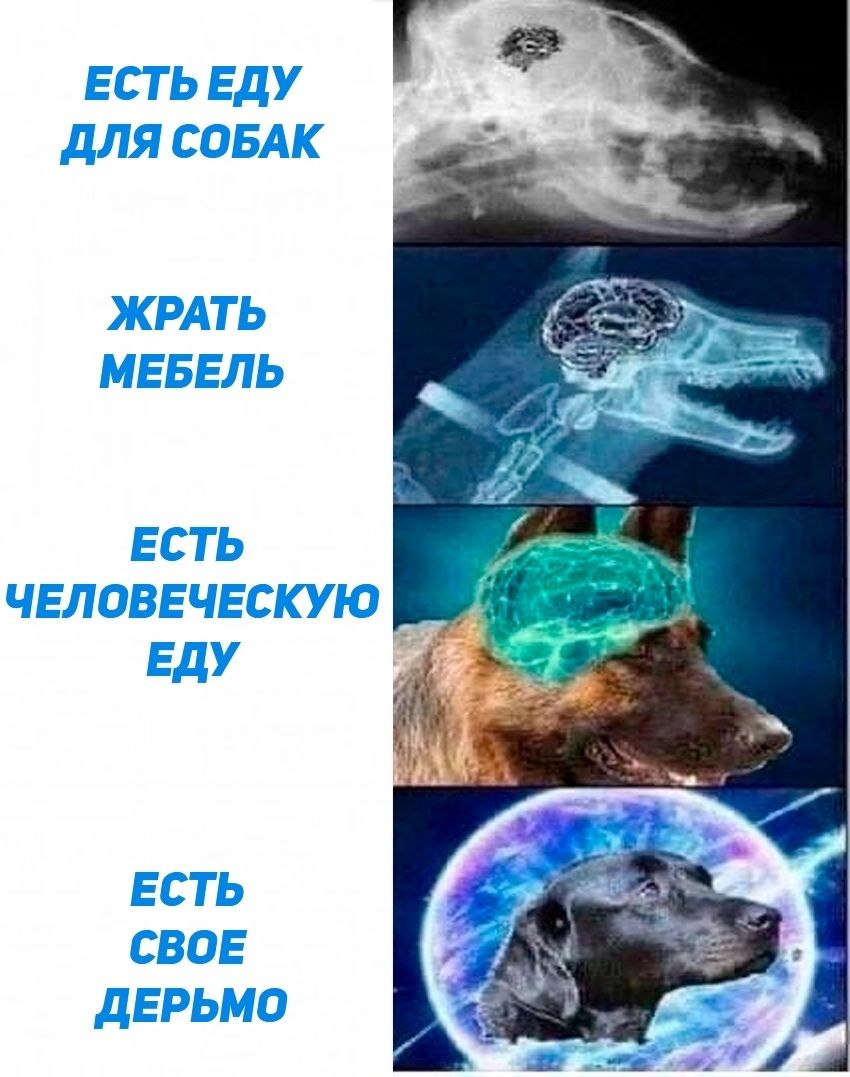 f42-Tiob8DjKZ3SfbeJ3xEZ37le3BfgbpcSqyLZe3WNJWztmW6bcb0gnlN5EAsgTaDiyZRZls34y4qGQGaKDKR78.jpg