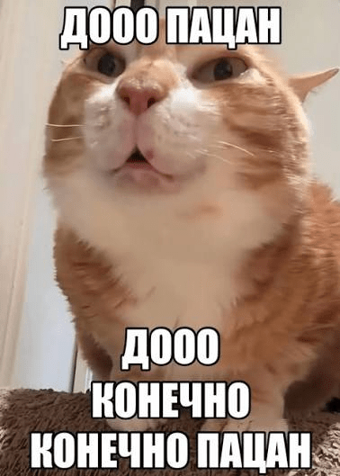 togif.gif