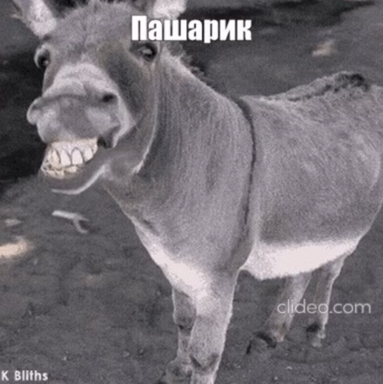 fc2dbdf8-0e0c-4c6d-8295-5eaae54ec9c4-зображення.png
