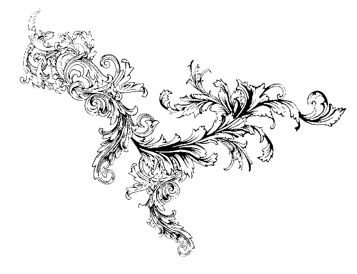 51858c9b-5158-4f05-947c-3cec170e4ef5-image (2).png