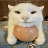 судныйдень