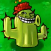 Cactus Cactus