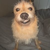 школьний принц школьний принц