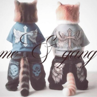 эприл эприл