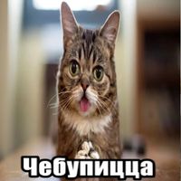 Чикатило