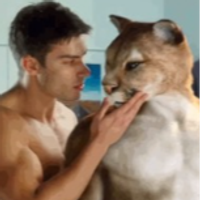 ПОСЕТИТЕЛЬ АМСТЕРДАМА