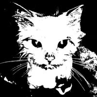 Megasuperduperkiller2007