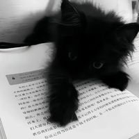 Эпсилон-11 Эпсилон-11